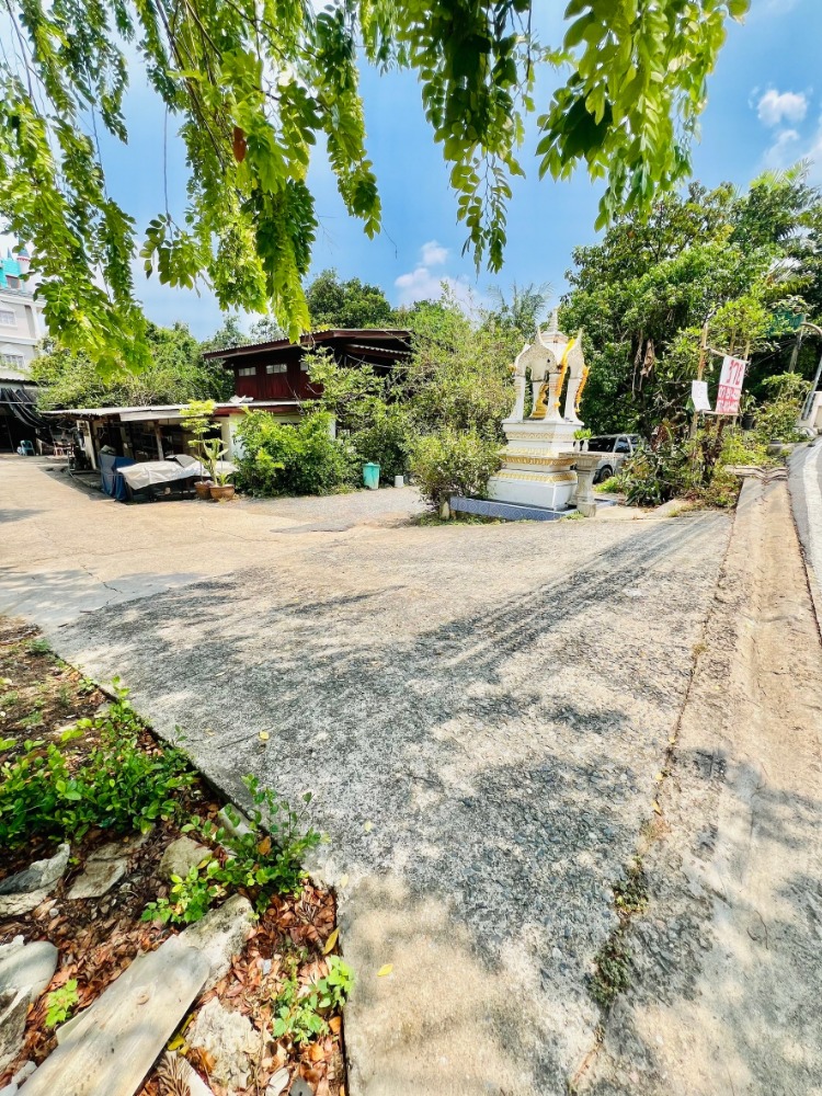 ที่ดินริมน้ำ บางแวก ใกล้ชิดธรรมชาติแม้อยู่ใกล้เมือง เดินทางสะดวก – รูปที่ 2
