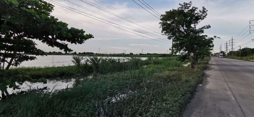 Land for sale 65 rai on Rattanakosin 200 Pi Road (Bang Bo) – รูปที่ 2