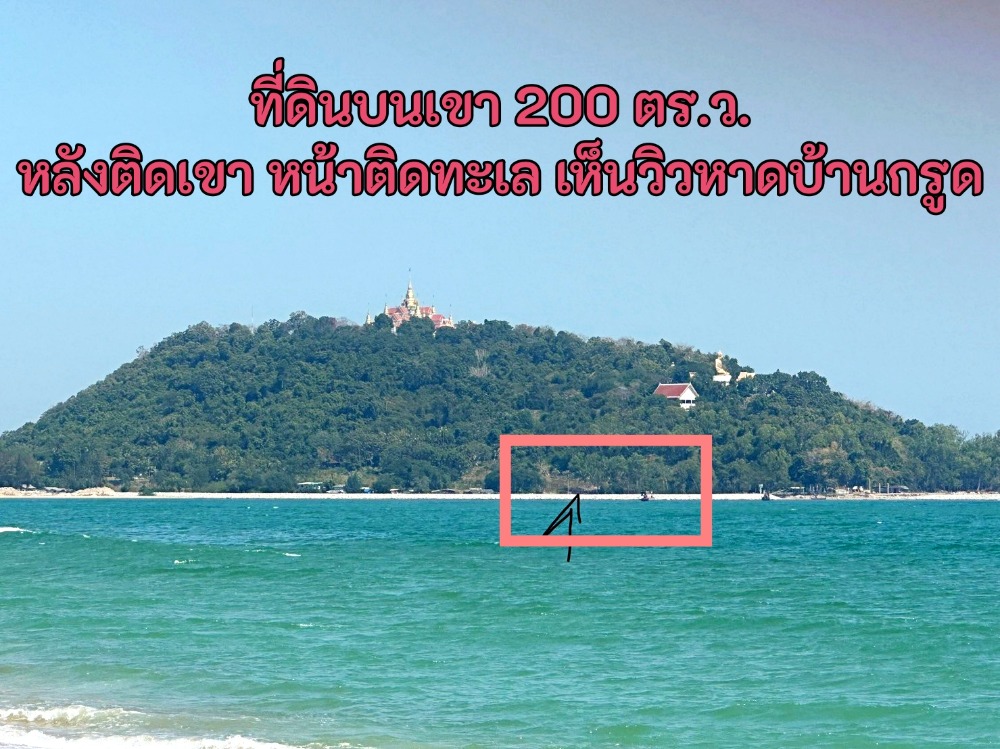 🎉ขายด่วนที่ดินสวยติดทะเล บนเนินเขาทางขึ้นวัดทางสาย  มองเห็นวิวหาดบ้านกรูด ขนาด 200 ตร.ว. ต.ธงชัย อ.บางสะพาน จ.ประจวบคีรีขันธ์ น้ำไฟเข้าถึง เหมาะทำบ้านพักตากอากาศ/ พลูวิลล่า บรรยากาศดีมาก ใกล้แหล่งท่องเที่ยว🌿