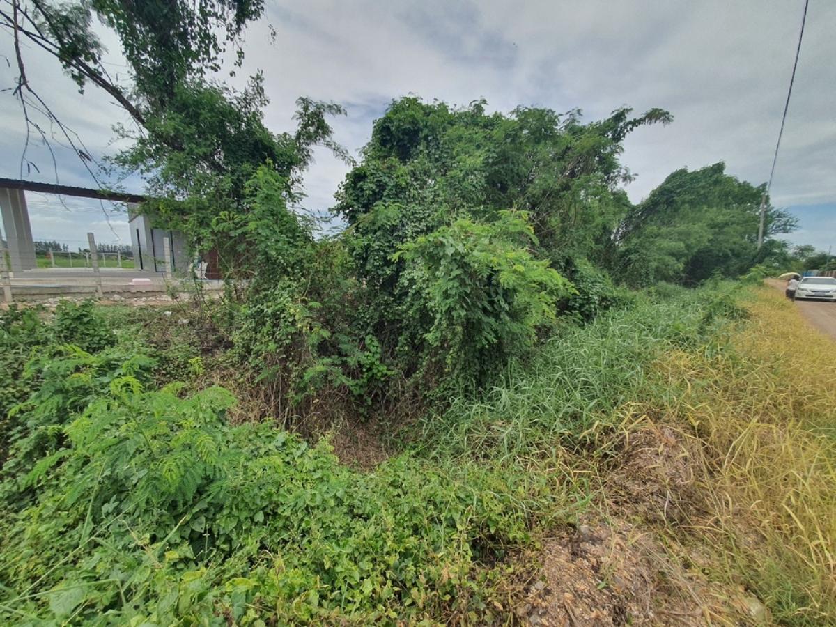 ❤️Land for sale, Khlong 6, Soi Khlong Hok Tawan Ok 76 (Soi Sukjai), Khlong Hok Subdistrict, Khlong Luang District. Interested, Line Tel. 0859114585 ❤️❤️Pathum Thani Province ❤️Size 1 rai 2 ngan, width 126 meters, depth 18 meters, land faces south 🔥Price 2 – รูปที่ 2