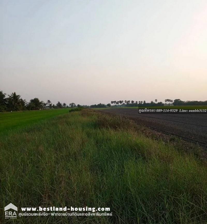 Urgent sale of land, 7 rai 65 square wa, Khatang Subdistrict, Lat Lum Kaeo, near Wat Chedi Hoi, 3 kilometers away. – รูปที่ 3