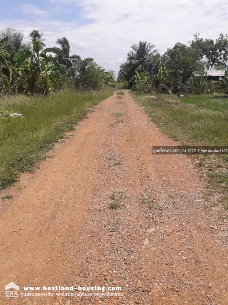 Urgent sale of land, 7 rai 65 square wa, Khatang Subdistrict, Lat Lum Kaeo, near Wat Chedi Hoi, 3 kilometers away. – รูปที่ 4