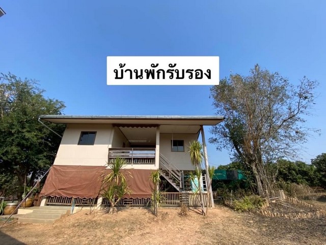 Land for sale, Longan orchard, Fai Kaew Subdistrict, Mueang Nan District, area 69-3-23 rai, including land and reservoir, with public utilities, Solar cell energy – รูปที่ 2