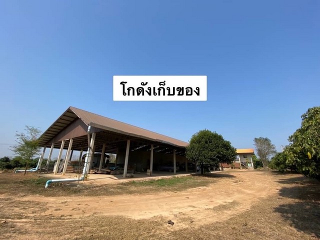 Land for sale, Longan orchard, Fai Kaew Subdistrict, Mueang Nan District, area 69-3-23 rai, including land and reservoir, with public utilities, Solar cell energy – รูปที่ 4