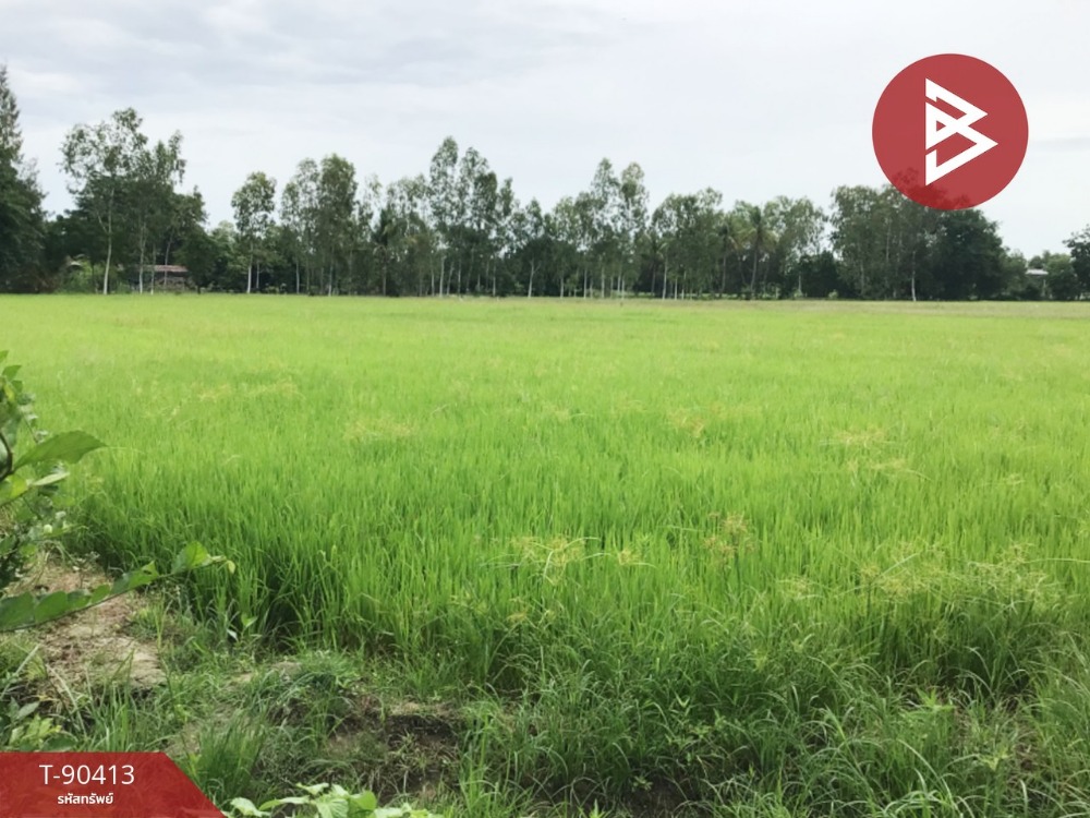 Land for sale, area 3 rai 1 ngan 41 square wa, U Thong, Suphan Buri