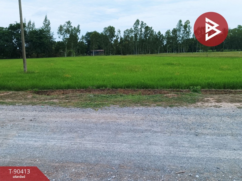 Land for sale, area 3 rai 1 ngan 41 square wa, U Thong, Suphan Buri – รูปที่ 2