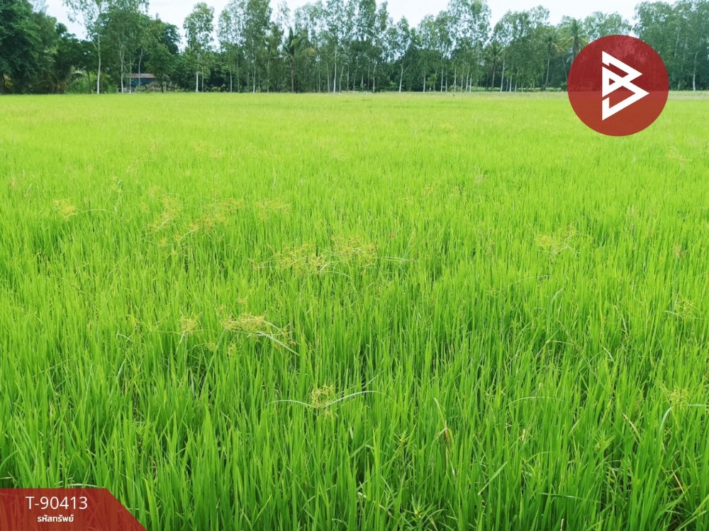 Land for sale, area 3 rai 1 ngan 41 square wa, U Thong, Suphan Buri – รูปที่ 3