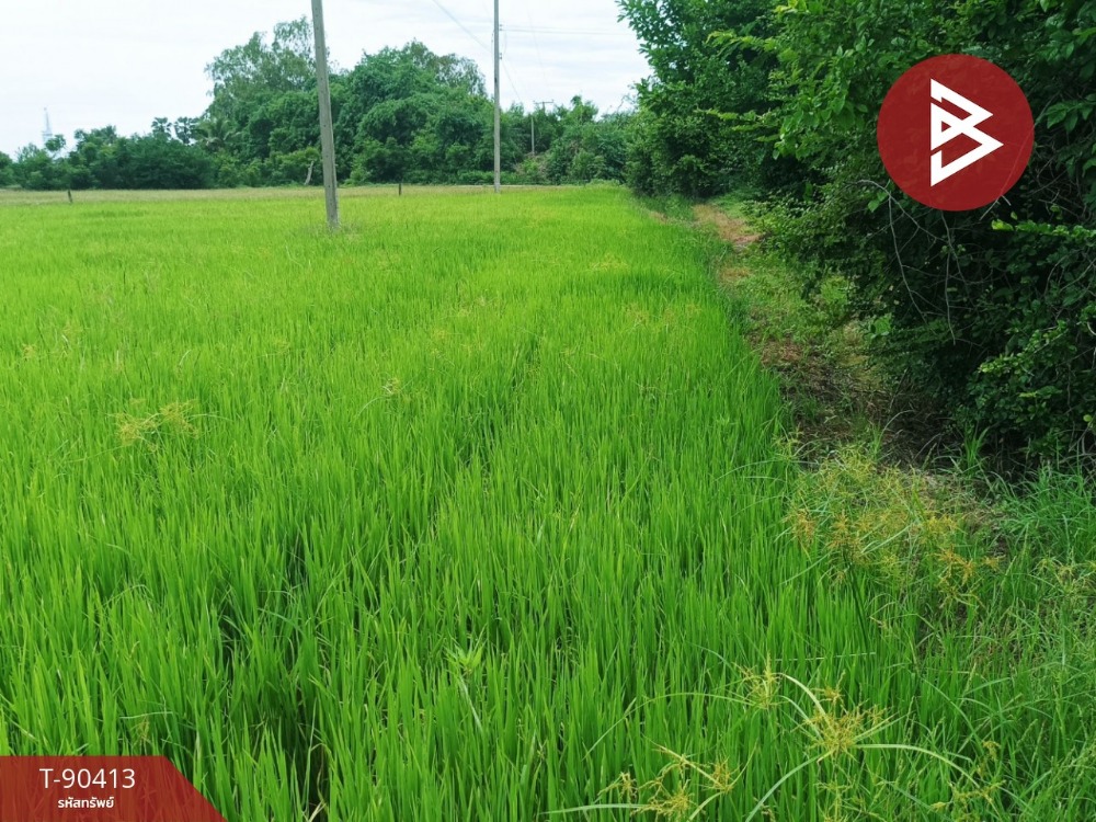 Land for sale, area 3 rai 1 ngan 41 square wa, U Thong, Suphan Buri – รูปที่ 4
