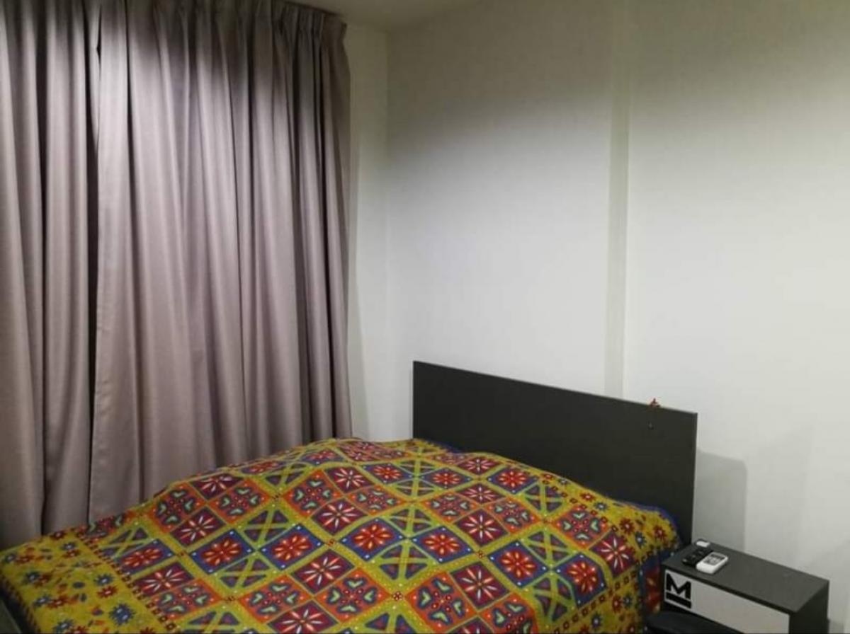 ⭐Premio Vetro Kaset (พรีมีโอ เวโทร เกษตร) – รูปที่ 3