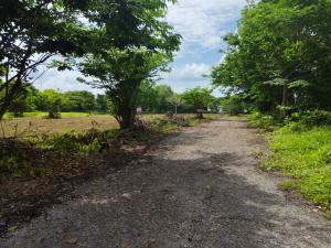 Land for sale, 2 rai 51 sq m, Khao Wongkot, Chanthaburi