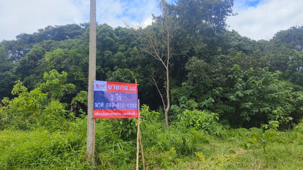 For sale cheap, lychee orchard, near Chiang Rai city, agricultural land, good location, near Lao River For sale cheap, lychee orchard, near Chiang Rai city, agricultural land, good location, near Lao River