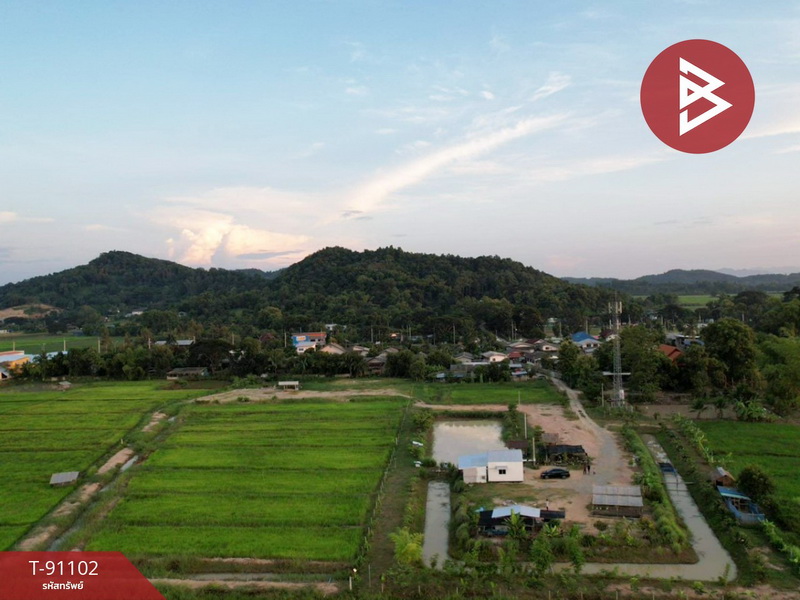 Land for sale with buildings, 9 rai, 3 ngan, 62.3 square wa, Thoeng, Chiang Rai Land for sale with buildings, 9 rai, 3 ngan, 62.3 square wa, Thoeng, Chiang Rai