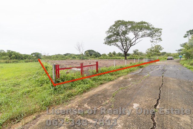 Land for sale, filled in, Soi Nimit Mai 40, K.C. Garden Home, cheapest in this area Land for sale, filled in, Soi Nimit Mai 40, K.C. Garden Home, cheapest in this area