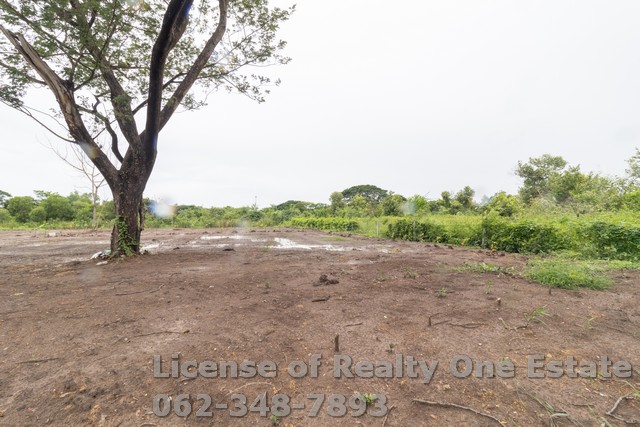 Land for sale, filled in, Soi Nimit Mai 40, K.C. Garden Home, cheapest in this area – รูปที่ 4