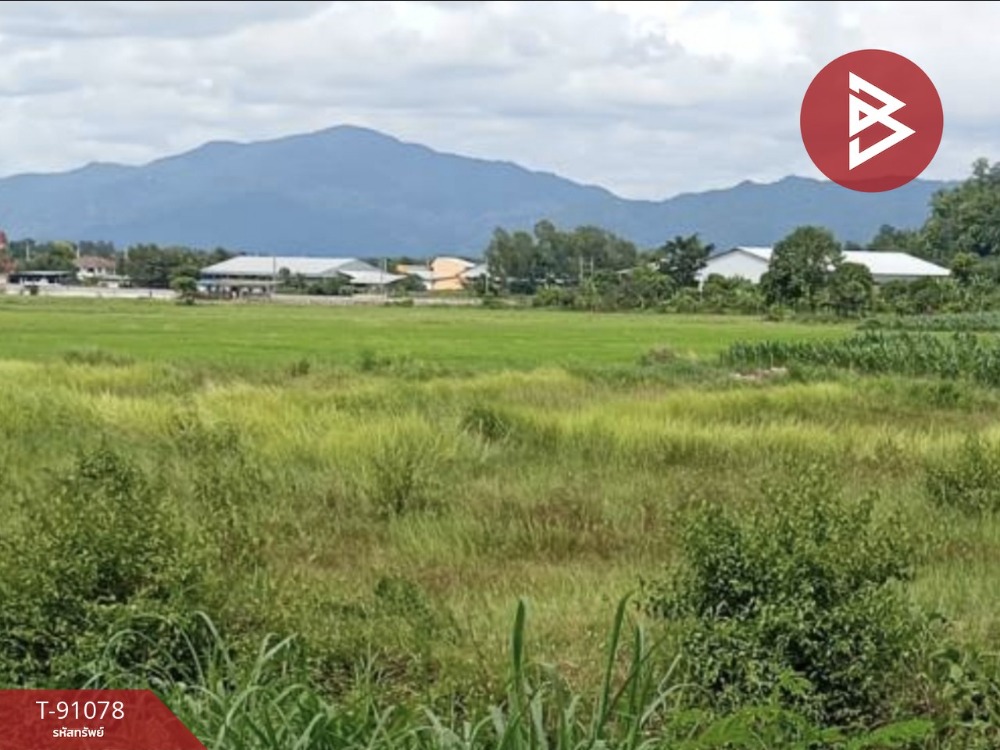 Land for sale, area 9 rai 63 square wa, Thoeng, Chiang Rai Land for sale, area 9 rai 63 square wa, Thoeng, Chiang Rai