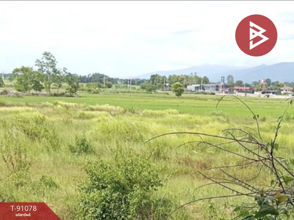 ขายที่ดิน เนื้อที่ 9 ไร่ 63 ตารางวา เทิง เชียงราย – รูปที่ 2