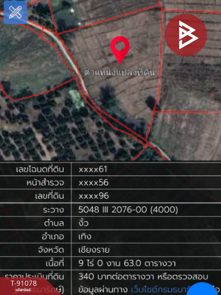 ขายที่ดิน เนื้อที่ 9 ไร่ 63 ตารางวา เทิง เชียงราย – รูปที่ 3