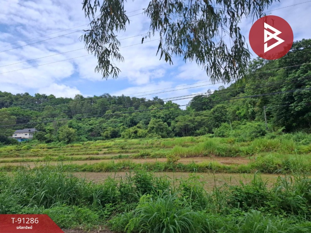 Land for sale, area 13 rai 2 ngan 36 sq m, Thoeng, Chiang Rai Land for sale, area 13 rai 2 ngan 36 sq m, Thoeng, Chiang Rai