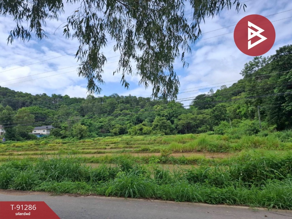 ขายที่ดินเปล่า เนื้อที่ 13 ไร่ 2 งาน 36 ตร.วา เทิง เชียงราย – รูปที่ 2