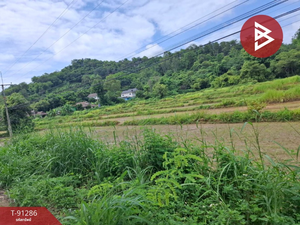 ขายที่ดินเปล่า เนื้อที่ 13 ไร่ 2 งาน 36 ตร.วา เทิง เชียงราย – รูปที่ 3