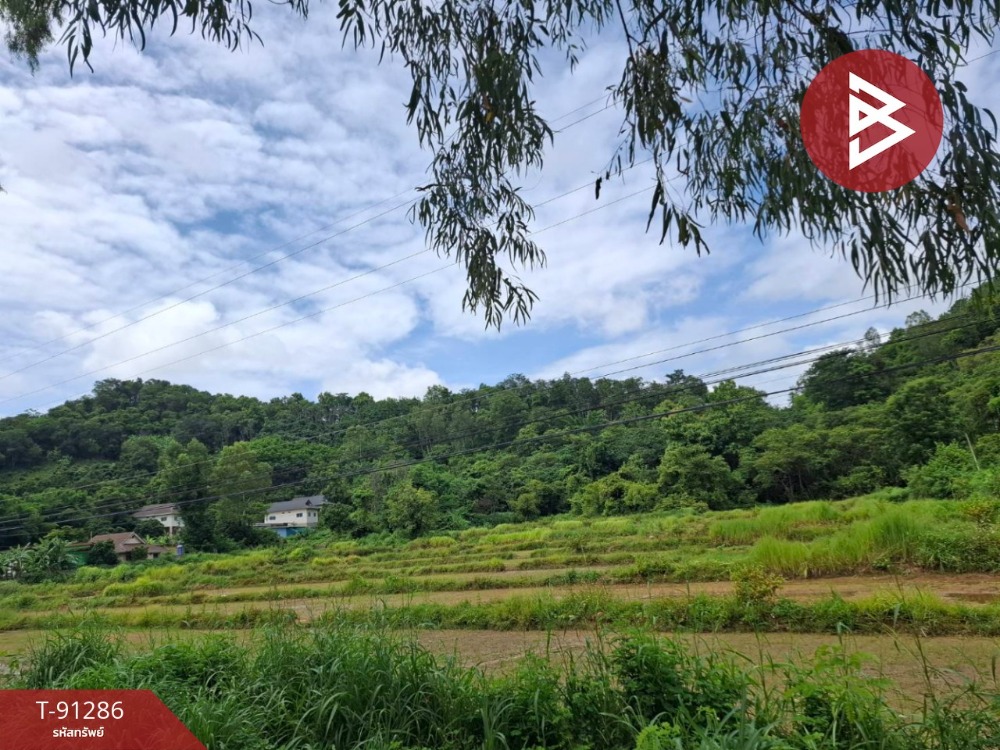 ขายที่ดินเปล่า เนื้อที่ 13 ไร่ 2 งาน 36 ตร.วา เทิง เชียงราย – รูปที่ 4