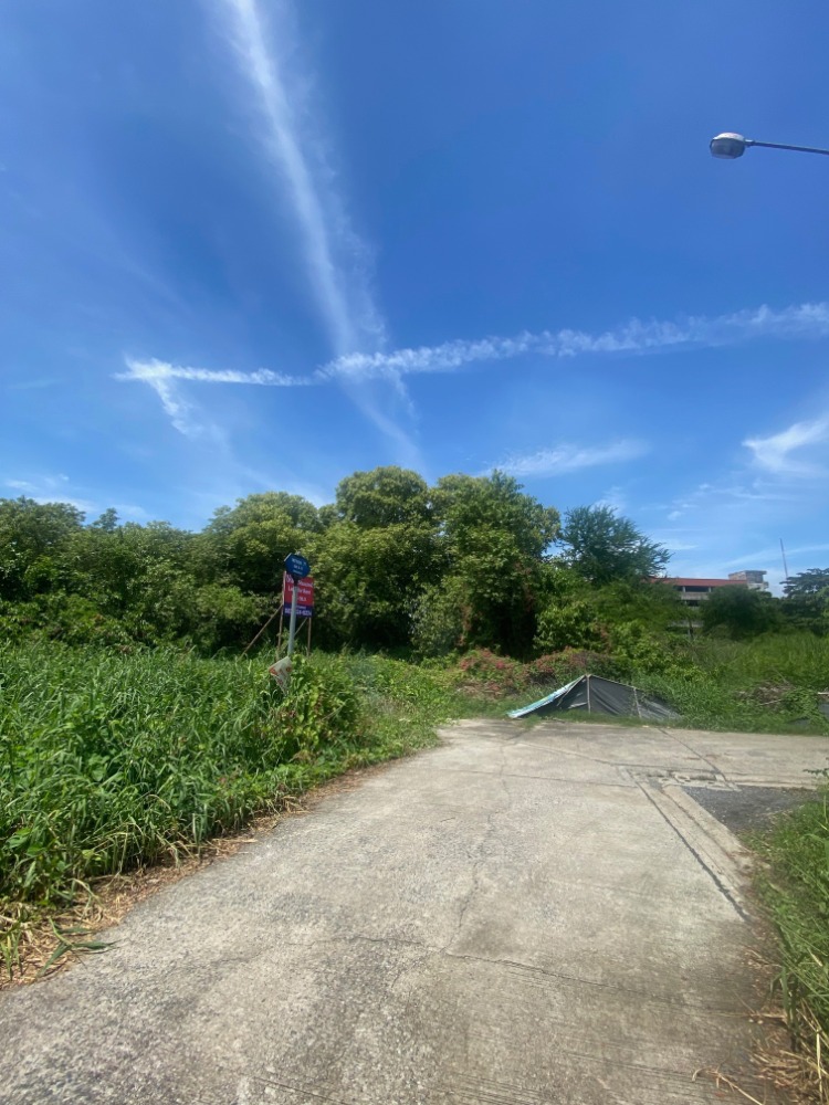 ให้เช่าที่ดินระยะยาว - ซอยเพชรเกษม 77 ขนาด 2 ไร่ (915 ตร.ว.) – รูปที่ 3