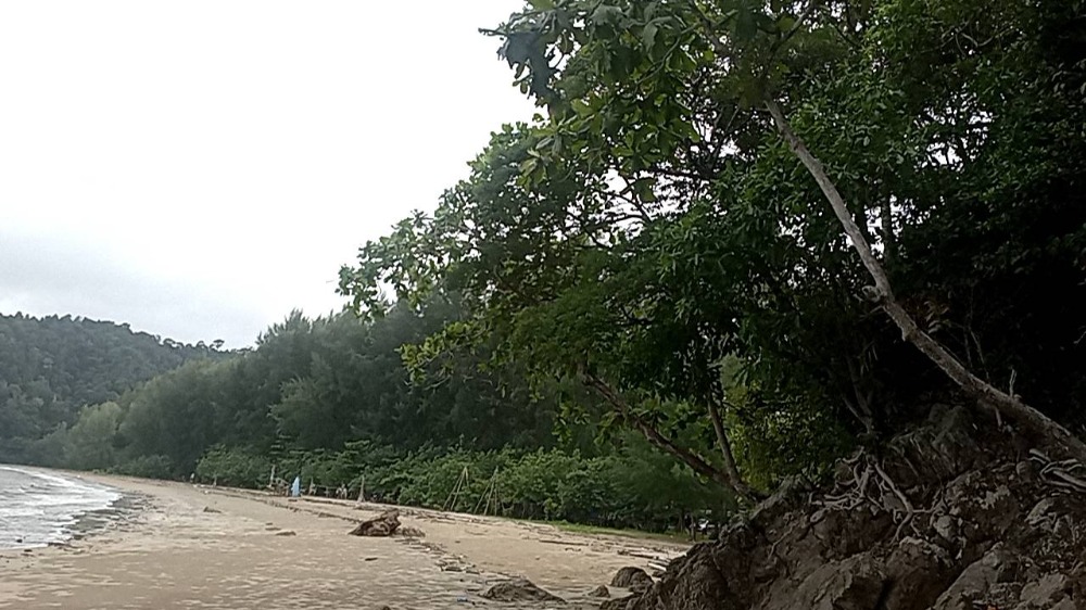 Land for sale, 13 rai, 1 ngan, 33 sq m, Koh Lanta, Krabi Province, land near the mountain, 700 meters from the sea, selling price 42,000,000 baht, transfer half, price negotiable. Land for sale, 13 rai, 1 ngan, 33 sq m, Koh Lanta, Krabi Province, land near the mountain, 700 meters from the sea, selling price 42,000,000 baht, transfer half, price negotiable.