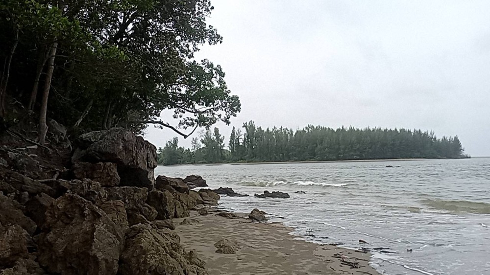 Land for sale, 13 rai, 1 ngan, 33 sq m, Koh Lanta, Krabi Province, land near the mountain, 700 meters from the sea, selling price 42,000,000 baht, transfer half, price negotiable. – รูปที่ 3