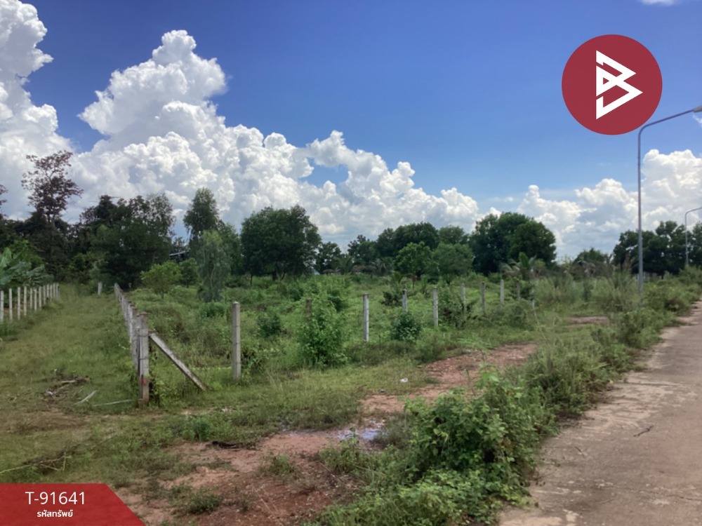 ขายที่ดิน เนื้อที่ 3 ไร่ 2 งาน ธาตุพนม นครพนม – รูปที่ 2