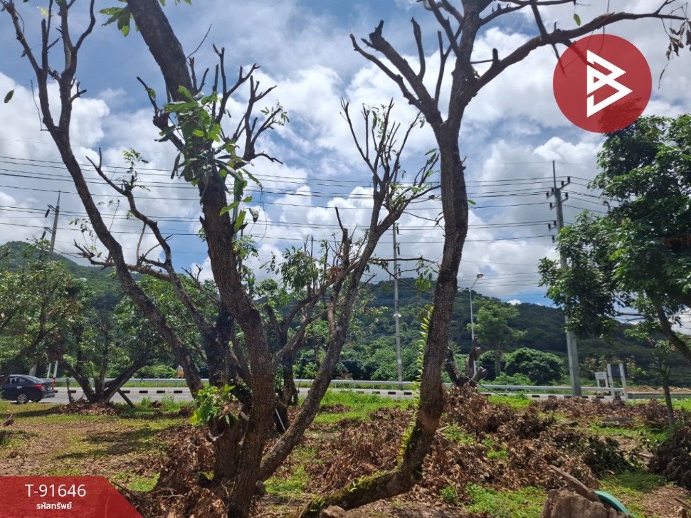 ขายที่ดินเปล่าด่วน เนื้อที่ 2 ไร่ 1 งาน 54 ตร.วา เทิง เชียงราย – รูปที่ 2