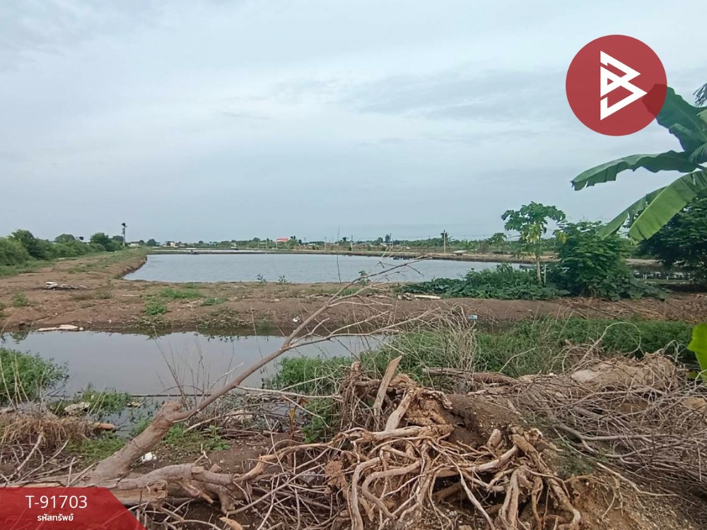Urgent sale of land, area 19 rai 1 ngan 30 square wa, Bang Bo, Samut Prakan, cheap price – รูปที่ 2