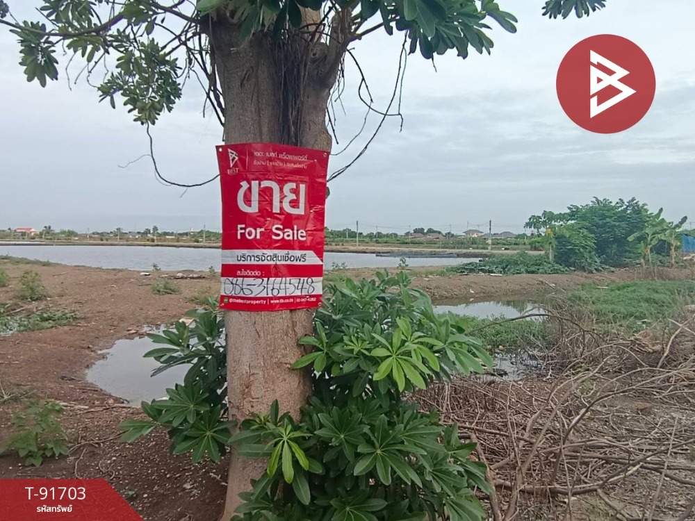 Urgent sale of land, area 19 rai 1 ngan 30 square wa, Bang Bo, Samut Prakan, cheap price – รูปที่ 3