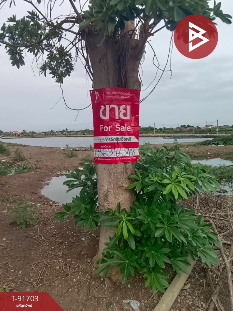 Urgent sale of land, area 19 rai 1 ngan 30 square wa, Bang Bo, Samut Prakan, cheap price – รูปที่ 4