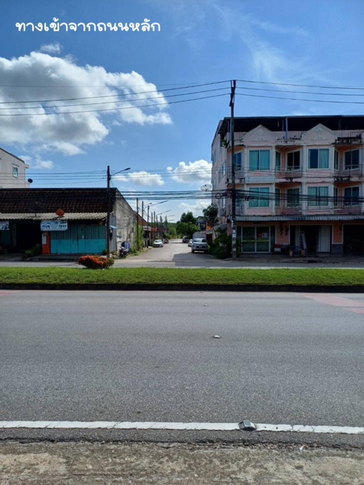 Beautiful land ready to transfer, Muang District, Krabi Province, 11 rai, 3 ngan, 4.7 sq m., price 50 million. – รูปที่ 3