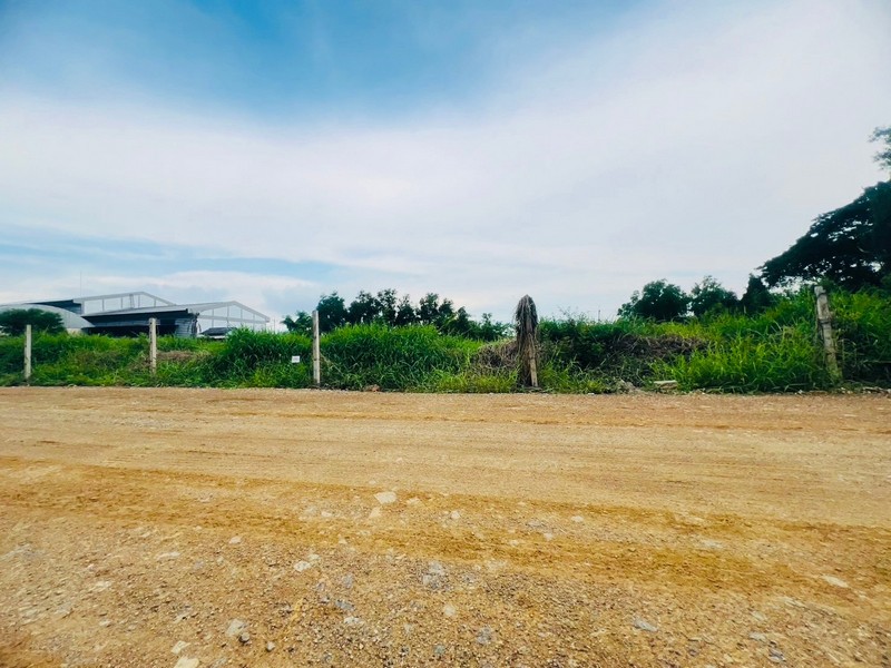 Land for sale, 2 plots, 1 rai each, rectangular shape, Soi Bueng Bon 21, 23, near many important places.