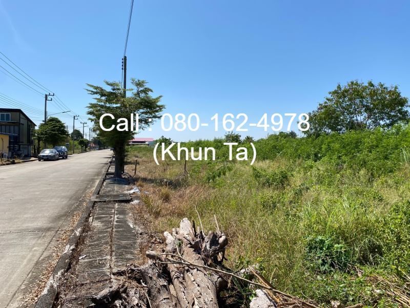 ขายที่ดิน 100 ตร.ว. หมู่บ้านสหกรณ์เคหะสถาน 15 ลำลูกกาคลอง 9 หน้ากว้าง 20 เมตร มีสาธารณูปโภคพร้อมสร้างที่พักอาศัย ถนนกว้าง 8 เมตร – รูปที่ 2