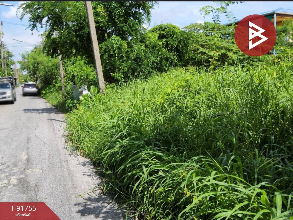ขายที่ดิน 2 แปลง เนื้อที่รวม 39 ตารางวา หนองเสือ ปทุมธานี – รูปที่ 2