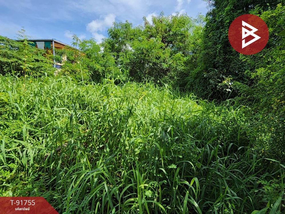 ขายที่ดิน 2 แปลง เนื้อที่รวม 39 ตารางวา หนองเสือ ปทุมธานี – รูปที่ 3