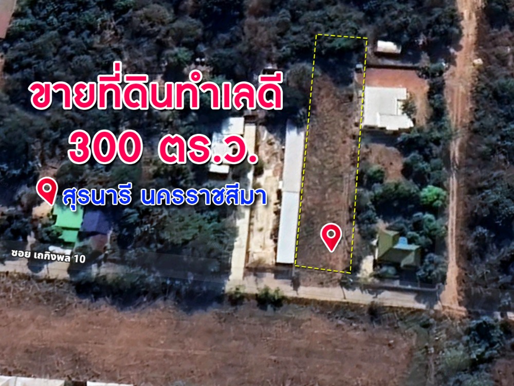 ขายที่ดินทำเลดี เนื้อที่ 300 ตร.ว. สุรนารี นครราชสีมา ขายที่ดินทำเลดี เนื้อที่ 300 ตร.ว. สุรนารี นครราชสีมา