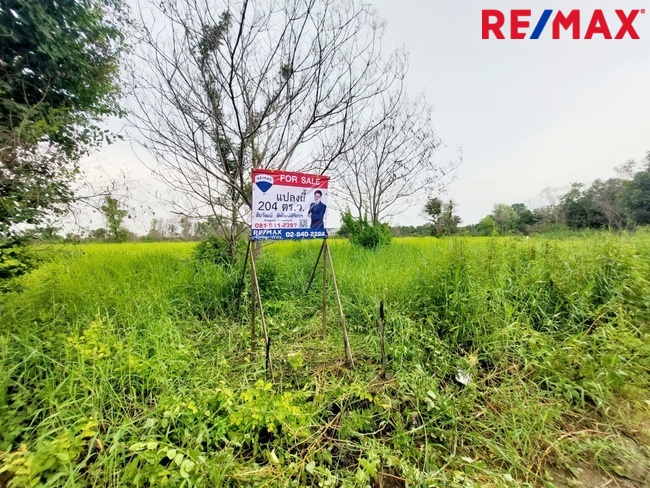 ขายที่ดินเปล่า 204 ตร.ว. ซอยสุวินทวงศ์ 51 แขวงกระทุ่มราย เขตหนองจอก กรุงเทพมหานคร ราคาต่อรองได้ – รูปที่ 4