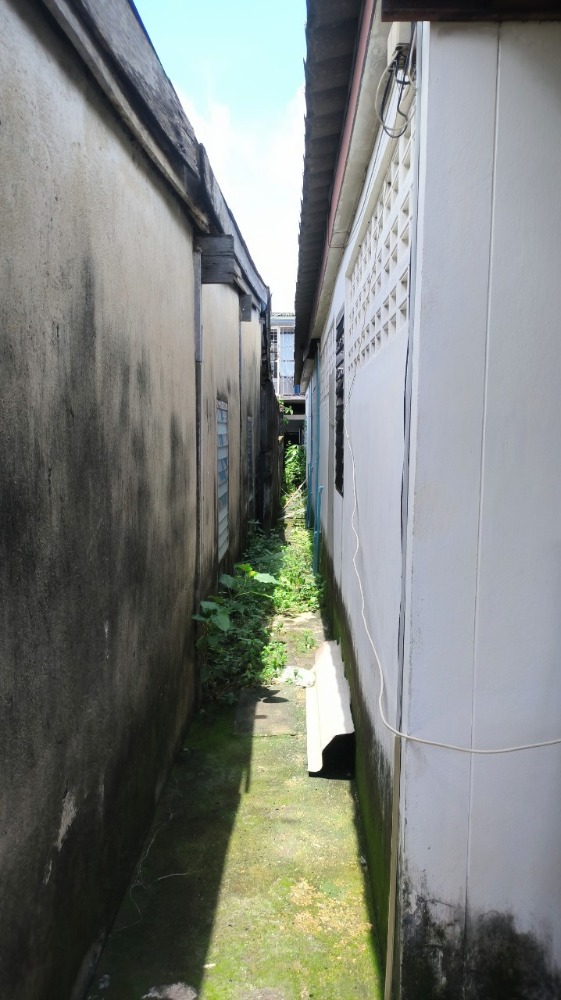 บ้านเดี่ยว กาญจนาภิเษก – รูปที่ 4