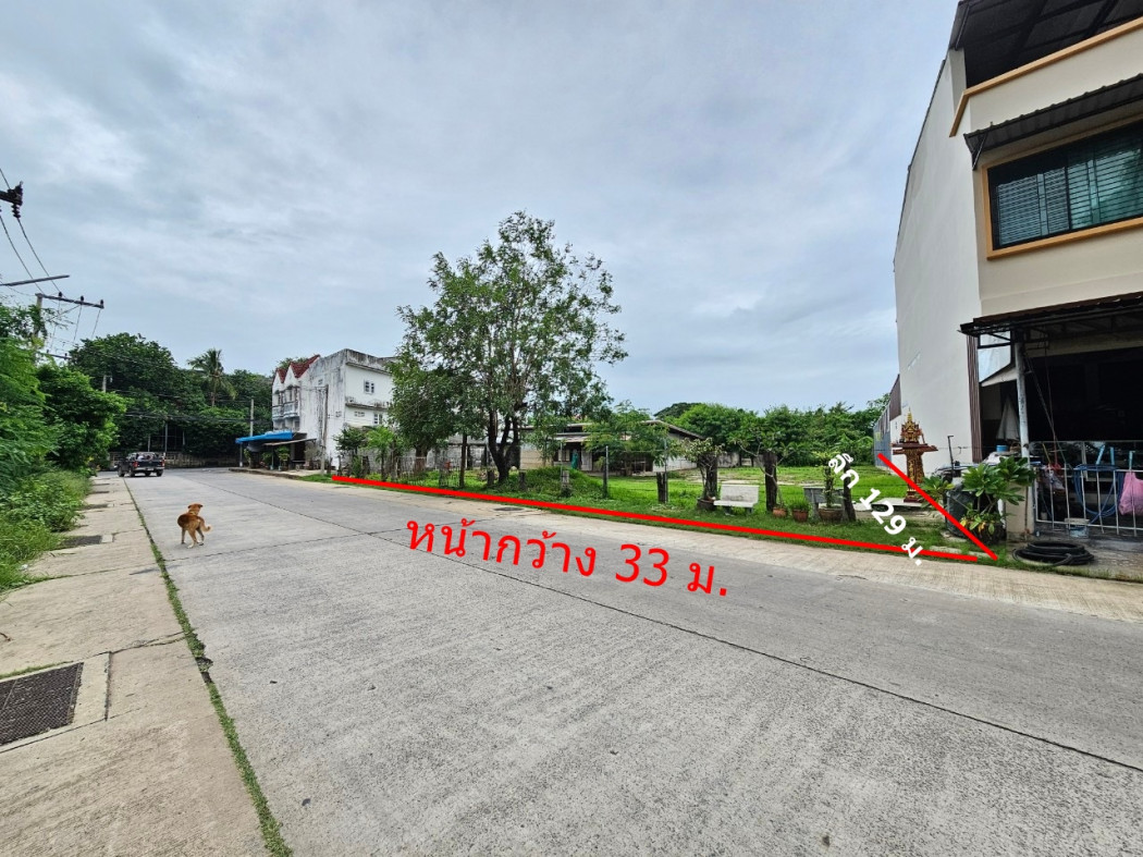 ขาย ที่ดิน ติดถนน ทำเลตัวเมือง 3 ไร่ 1 งาน 99.9 ตรว ขาย ที่ดิน ติดถนน ทำเลตัวเมือง 3 ไร่ 1 งาน 99.9 ตรว