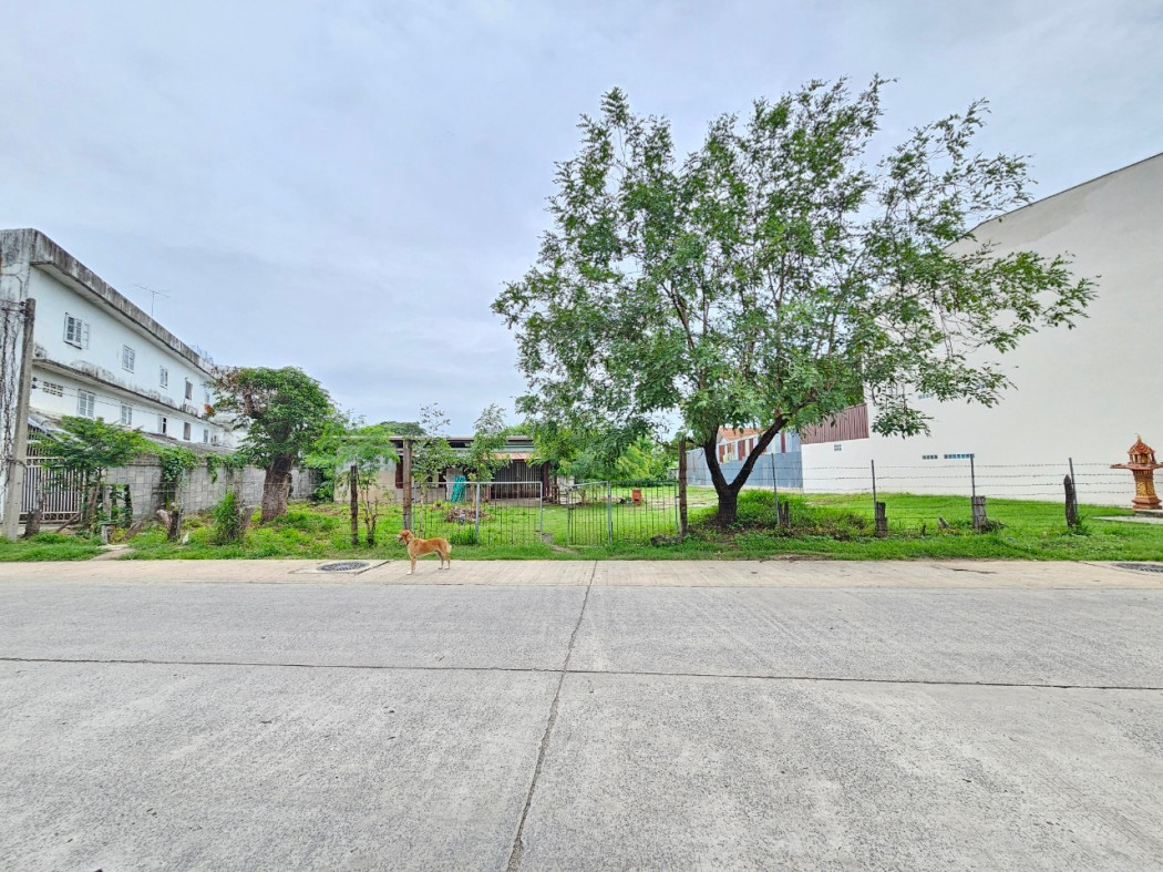 Land for sale, roadside, city location, 3 rai, 1 ngan, 99.9 sq m. – รูปที่ 3