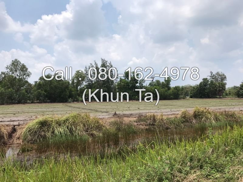 Land for sale, title deed 800 sq.w., Khlong 10, Nong Suea, on the west side of Khlong Sip Road, on 2 sides of the road, near Khiriwong Bridge, near the border of Phra Nakhon Si Ayutthaya-Pathum Thani-Saraburi provinces. – รูปที่ 2