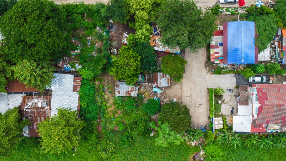 ขายที่ดิน 101 ตร.วา บางกรวย-ไทรน้อย นนทบุรี ซอยโรงเรียนบ้านคลองฝรั่ง(บัวเอี่ยม) ใกล้ บิ๊กซี ซูเปอร์เซ็นเตอร์ ไทรน้อย และ โกลบอลเฮ้าส์ ไทรน้อย ขายที่ดิน 101 ตร.วา บางกรวย-ไทรน้อย นนทบุรี ซอยโรงเรียนบ้านคลองฝรั่ง(บัวเอี่ยม) ใกล้ บิ๊กซี ซูเปอร์เซ็นเตอร์ ไทรน้อย และ โกลบอลเฮ้าส์ ไทรน้อย