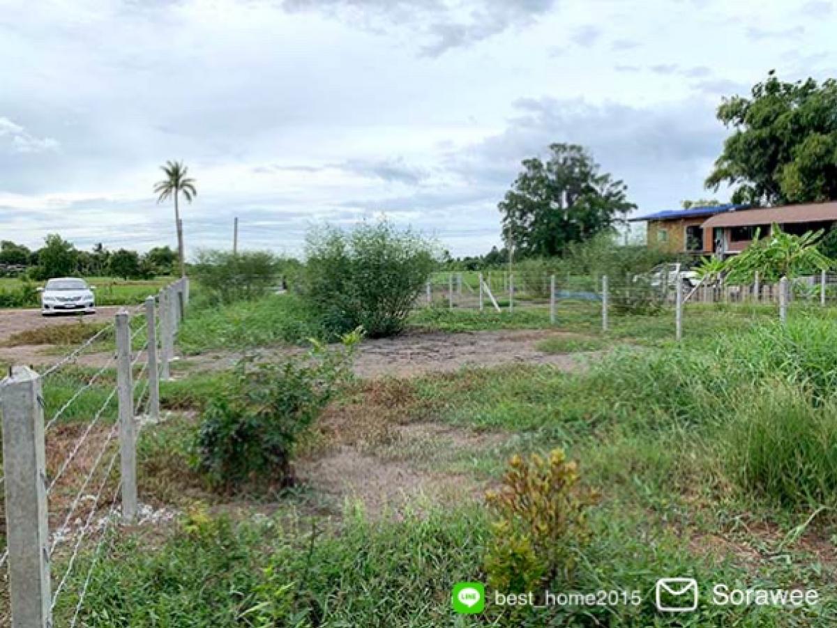 Land for sale, Sam Khok, Pathum Thani, suitable for building a house – รูปที่ 2