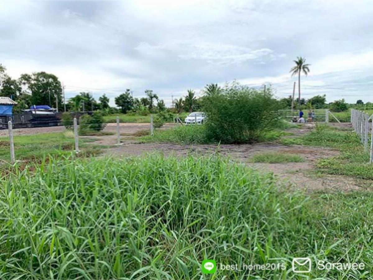 Land for sale, Sam Khok, Pathum Thani, suitable for building a house – รูปที่ 3