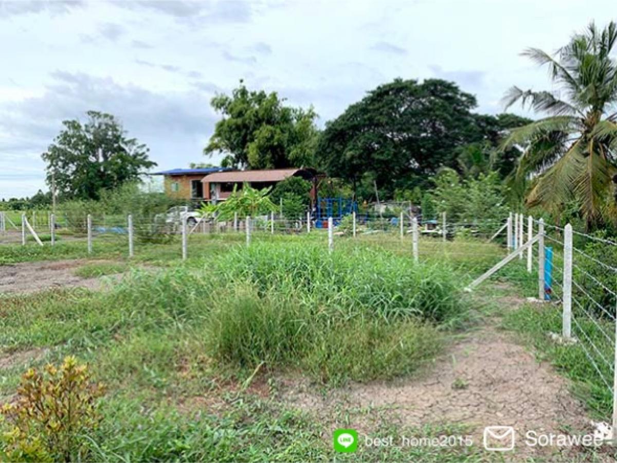 Land for sale, Sam Khok, Pathum Thani, suitable for building a house – รูปที่ 4