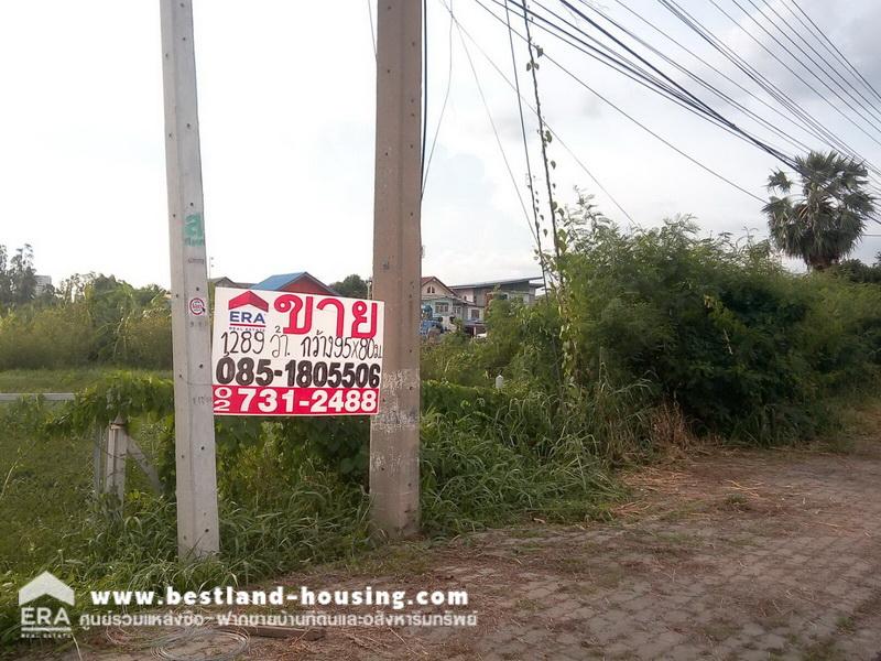 ขายที่ดินเปล่า 1289 ตารางวา กว้าง 95 เมตร ลึก 80 เมตร ติดถนนปทุมธานีสายใน ถมแล้ว
