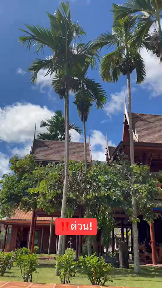 ❖ ที่ดินพร้อมบ้านหมู่เรือนไทยสุดหรู ❖ เขาค้อ เพชรบูรณ์ | 36 ไร่ 2,500 ตร.ม. | 5 ห้องนอน 4 ห้องน้ำ | บาร์ สระน้ำตก อาคารworkshop บ้านพักพนักงาน | แผงโซลาร์เซลล์ครบวงจร ❖ ที่ดินพร้อมบ้านหมู่เรือนไทยสุดหรู ❖ เขาค้อ เพชรบูรณ์ | 36 ไร่ 2,500 ตร.ม. | 5 ห้องนอน 4 ห้องน้ำ | บาร์ สระน้ำตก อาคารworkshop บ้านพักพนักงาน | แผงโซลาร์เซลล์ครบวงจร